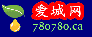 爱城网